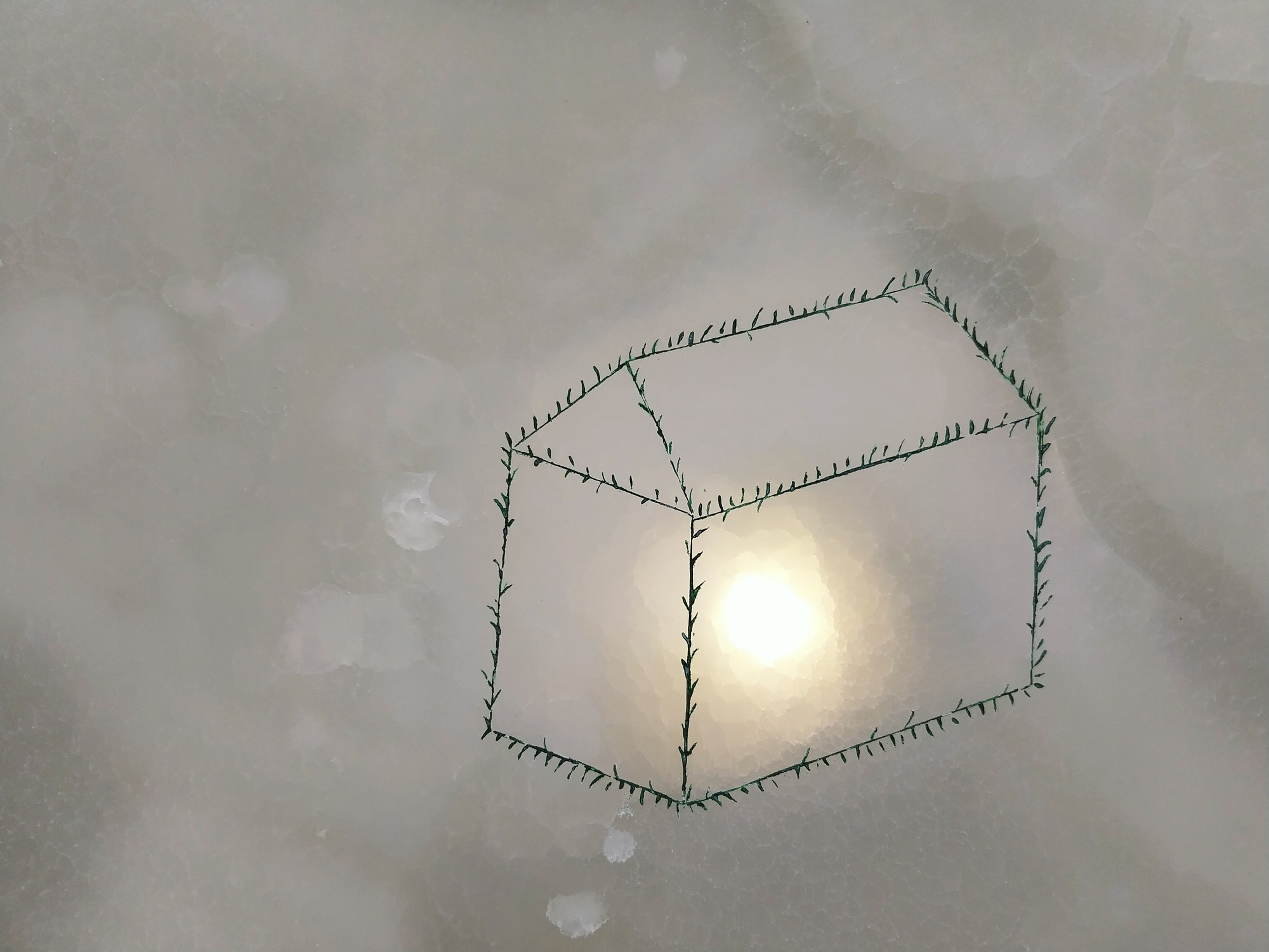 House Green House 2023 b