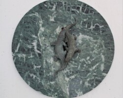 Coppia 2020 Coppia 2020