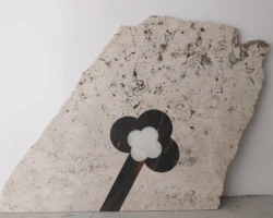 Pianta 2020 Pianta 2020