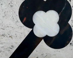 Pianta 2020 Pianta 2020